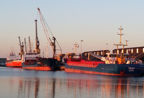 Douane : service logistique complet partout en France Douane : service logistique complet partout en France