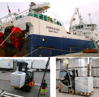 Manutention grande fraîcheur à Saint-Malo
