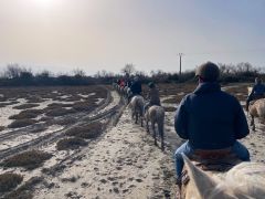 Séminaire Maritime Kuhn en Camargue